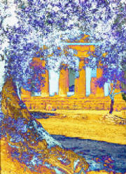 OliveTreeAndTempleInSicily.jpg